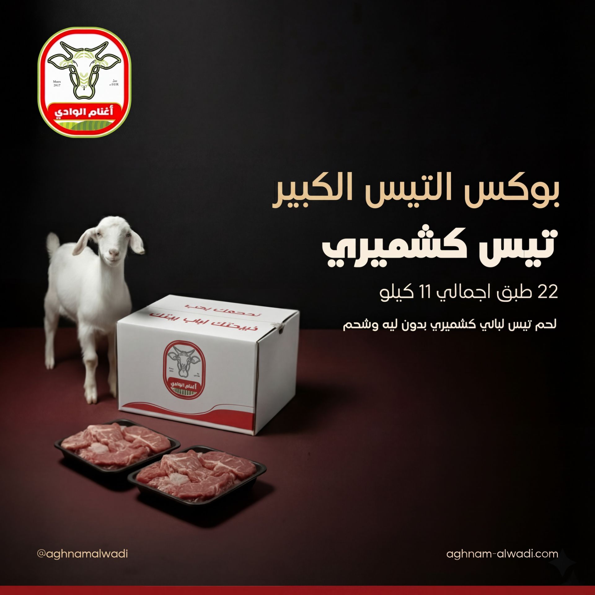 أغنام الوادي مركز جدة 4
