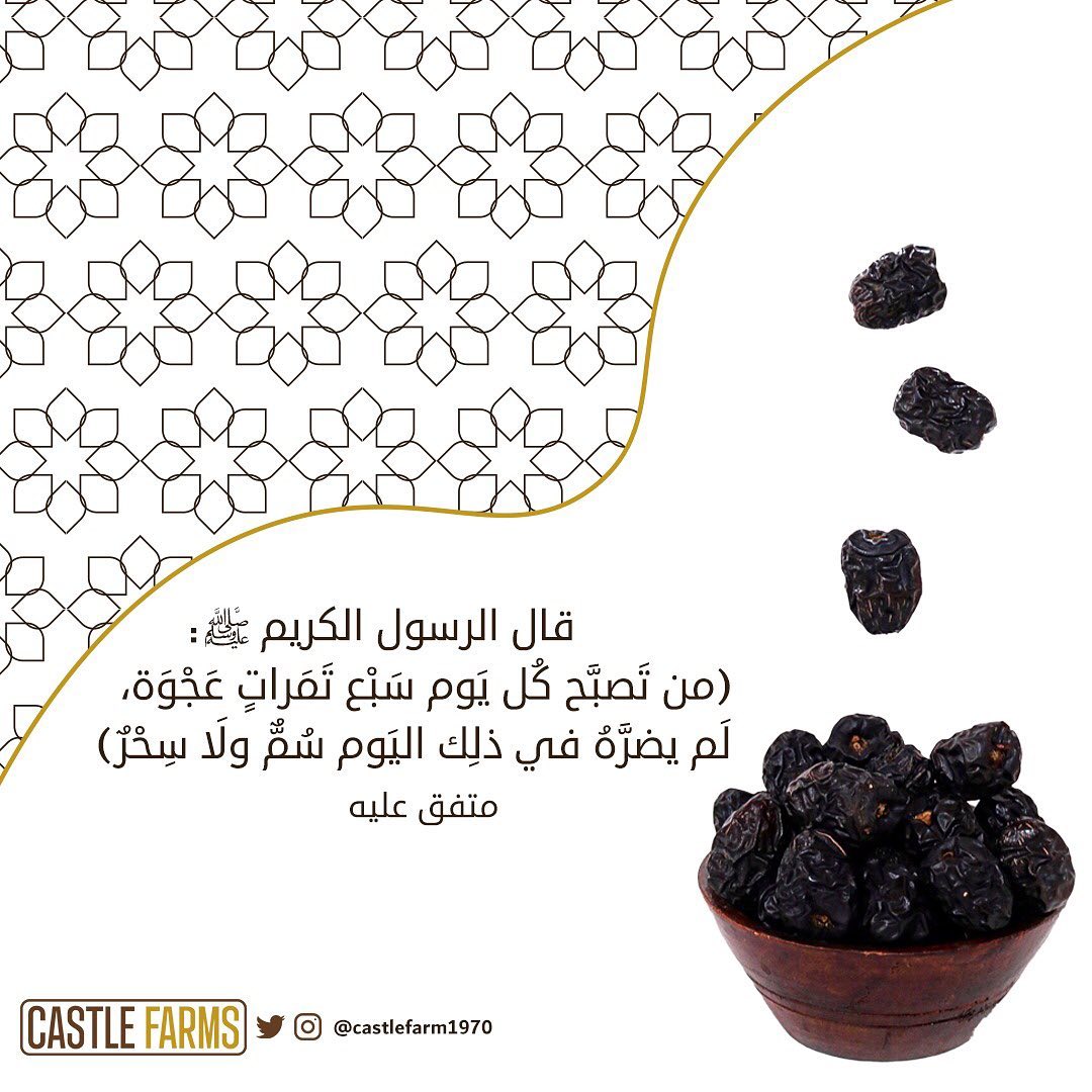 مزارع القلعة  2