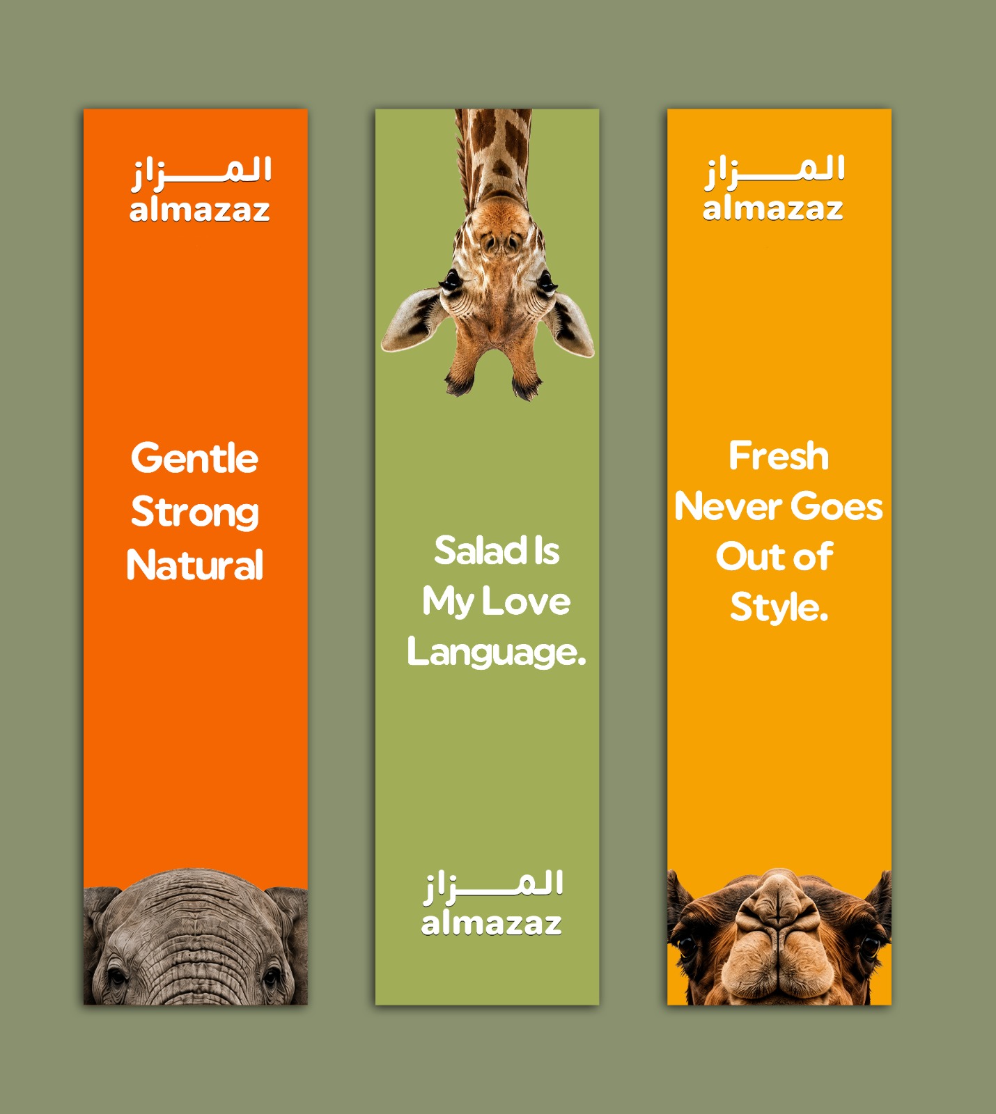 المزاز فرع جازان 11